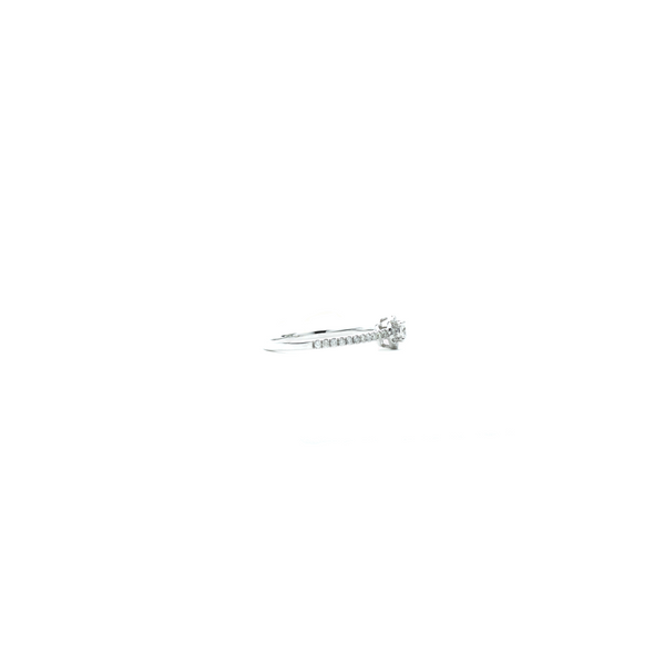 "18k White Gold and Diamond Solitaire with Halo" Ring
