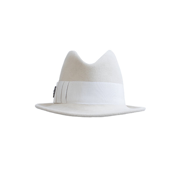 "DW 529 Polar" Hat